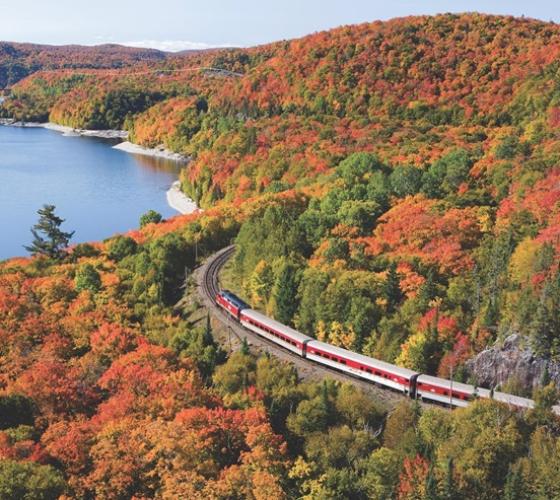 Agawa Canyon Tour Train aerial view of train passing in fall