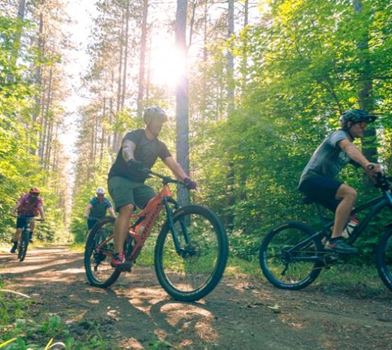 Group of men biking on trails in Hiawatha