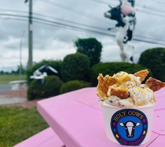 Ice cream cup on pink picnic table with blurred cow statues in background
