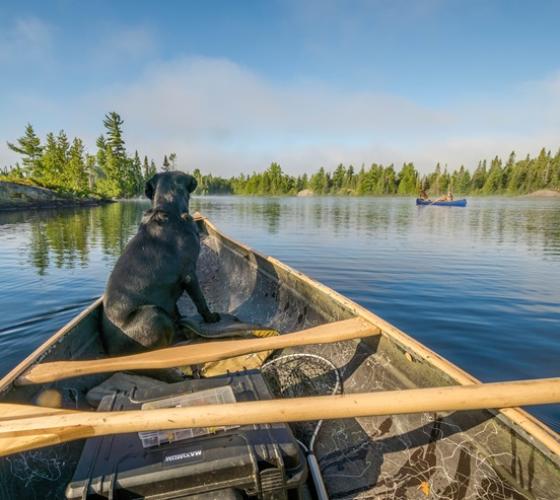 Photo from view of person in canoe floating on calm waters during a clear summer day
