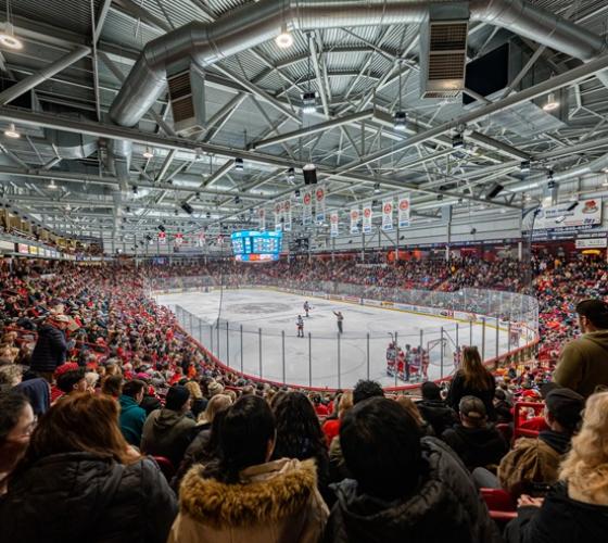 Memorial Gardens full during Soo Greyhounds game