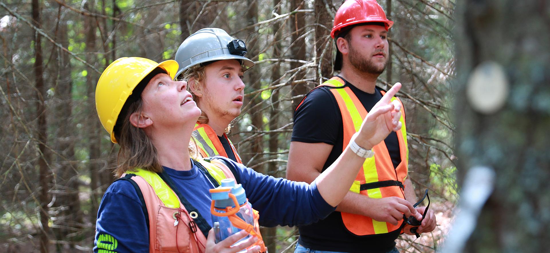 Forestry Tech students and faculty looking at trees