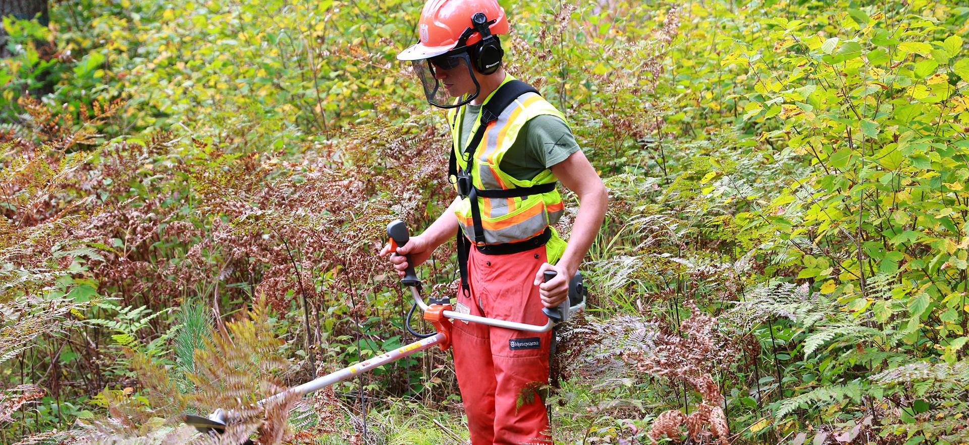 Forestry Tech student clearing areas of the bush